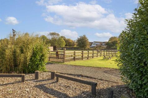 Little Jacks PH-30.jpg