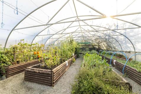 Little Jacks PH-69.jpg