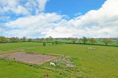 DJI_20250415162128_0031_D copy.jpg