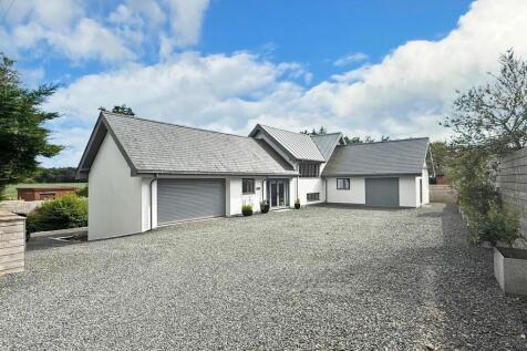 3377dda9-8e55-4aae-9581-963e2ff7aa87 copy.jpg