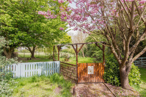 Wildflower Bee Ga...