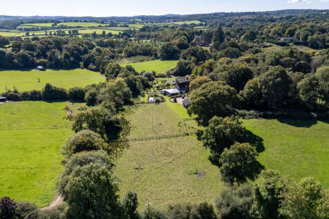 A23 - Cuckoo Down...