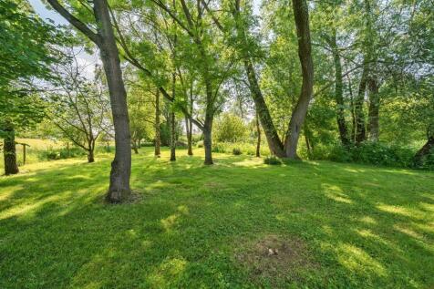 Copse.jpg