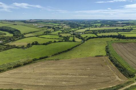 DJI_0229.jpg