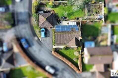 dji_fly_20250227_120612_726_1740658283726_photo_op