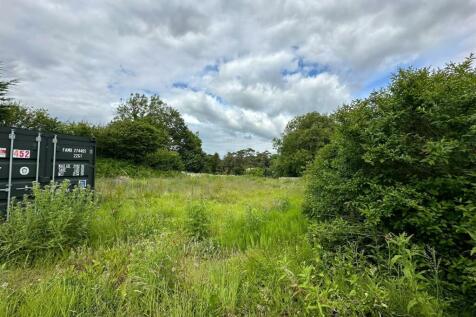 processed-C9C11183-2141-4EB8-BC55-108E8B3E351A.jpe