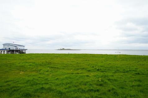 DSC01088.JPG