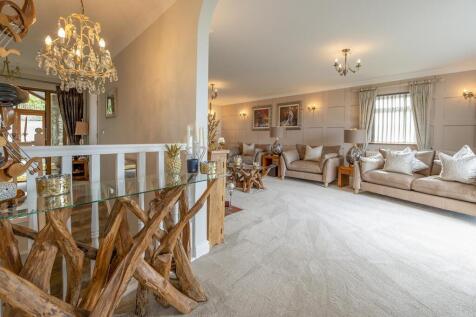 Tracey Evans (83).jpg