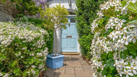 Property Image 9