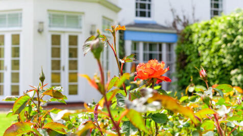 Property Image 40