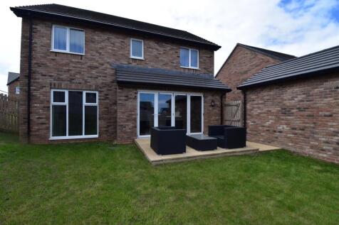 Rear Elevation