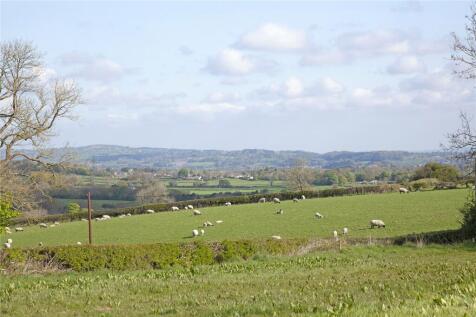 Countryside Views