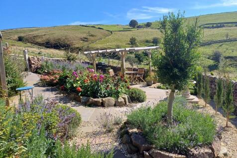 20240917_114629_resized_1 mediterranean garden.jpg