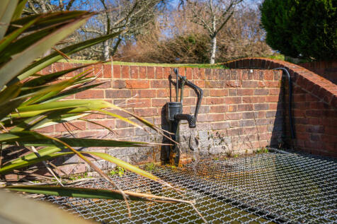 Pond Detail