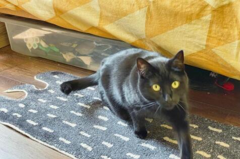 ea08657b-F-46EE-8B1F-3B37A58C78EB-1890-00000E73B86