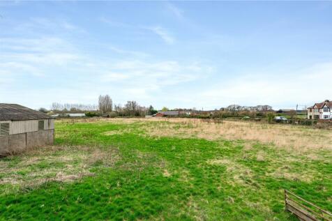 Field