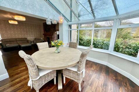 PHOTO-2024-11-18-18-30-22 (18).jpg