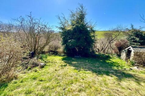 PHOTO-2025-04-01-20-09-19 (1).jpg