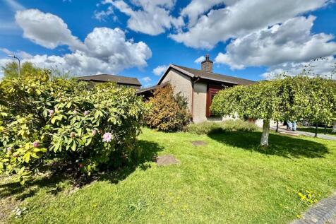 PHOTO-2025-04-24-21-57-13 (13).jpg