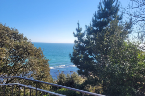 Balcony View**