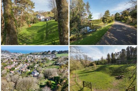 Back Page Collage.jpg