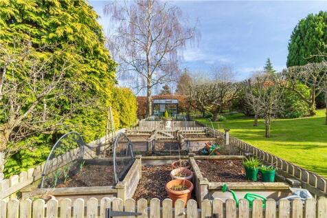 Vegetable Garden