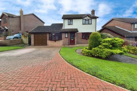 17d46acc-WhatsApp...