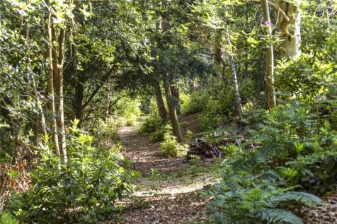 Woodland