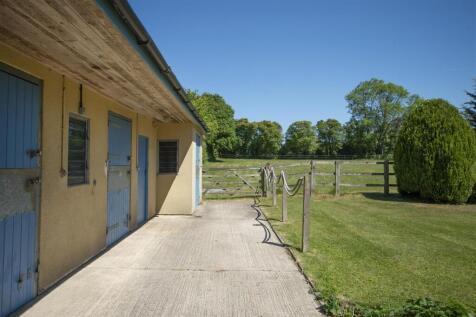 250512LittleCourt-1015.jpg