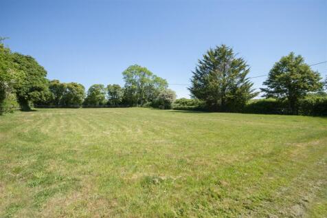 250512LittleCourt-1018.jpg