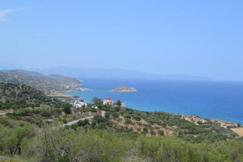 View from the plot