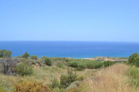 View from the plot
