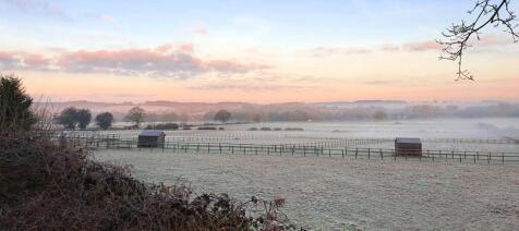 Misty Morning View
