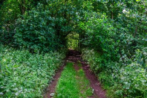 Country Lane