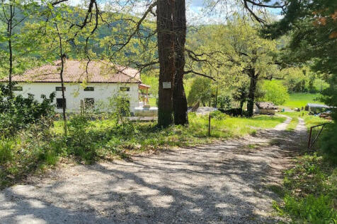 Property Image 41