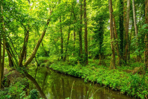 1341863-1-68a71a2...