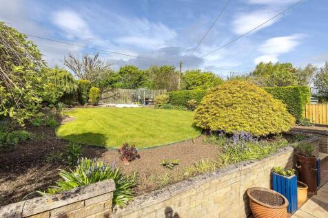 Back Garden