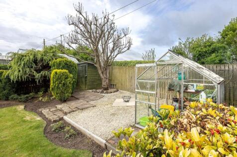 Back Garden