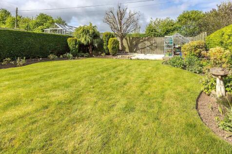 Back Garden
