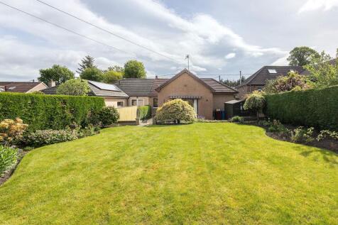 Back Garden