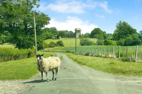 e66a596a--4B4B-8564-928D52426274-88662-00001C4AA8D