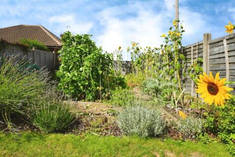 51e2b3ea--466A-B2B2-7CEAF6E53AB3-25515-0000096CB9A