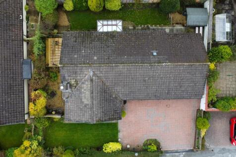 DJI_0950.jpg
