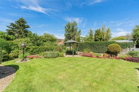 2 Hampden Drive Garden 3.jpg