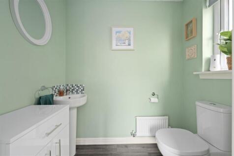 13 Roe Deer Place 014.JPG
