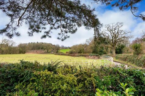 Coldham Cottage-garden6.jpg