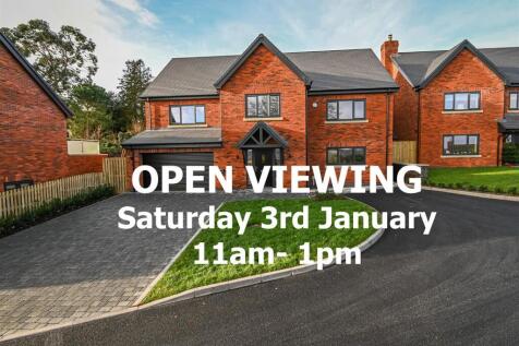 3 The Stamp Works- Open Viewing.jpg