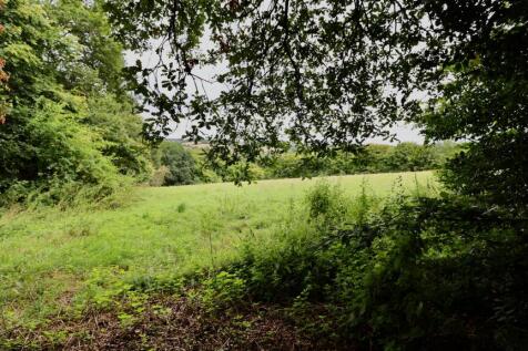 field