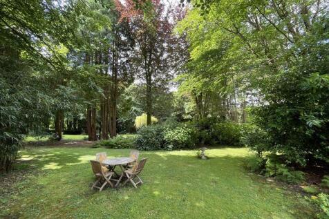 Woodland Garden