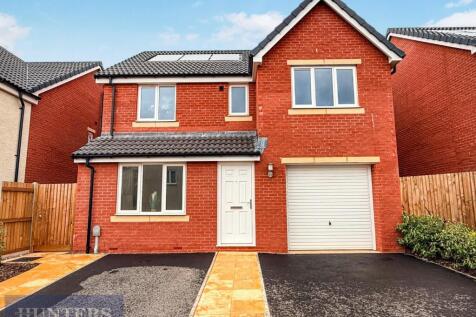 tlc_d44a1d3b-5dd2-4559-9699-b5ee7acef3bd_1370f3f.j